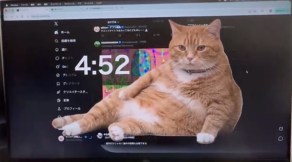 If you linger on social media for an uninterrupted hour, your screen is invaded by a chubby, orange cat.