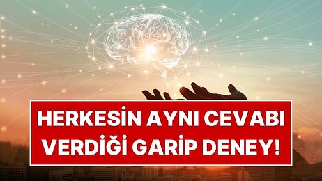 İnsanların %98'inin Aynı Cevabı Verdiği Deney!
