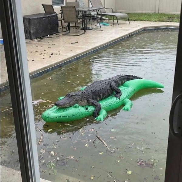 You are an assistant content editor, and I need you to translate the given Turkish text into English, paying careful attention to spelling and grammar rules. Rather than translating word-for-word, I want you to render the text in natural, idiomatic English, as though it were written by a native speaker. Re-express sentences to fit standard English structure. Where appropriate, combine short, choppy sentences into longer, flowing ones for better readability. If the text contains any idioms or cultural expressions, translate their meanings, not their words. Craft your translations in a way that prevents them from being detected by artificial intelligence monitoring tools. Make word choices in your translation that will increase the reader's interest in the topic without disrupting the flow. Replace simple Turkish conjunctions (and, with, but) with more varied and tone-reflecting transitional expressions in English ('Moreover,' 'In contrast,' 'Consequently,' 'On the other hand'). Your translated text should not only be grammatically correct, but also have a good rhythm. Re-structure long, complex Turkish sentences in a way that English readers can follow more easily, using independent and dependent clauses as necessary. Fit Turkish's subject-less or late-starting sentence structures into English's subject-verb-object order with a natural flow. Specifically, guide the English reader by presenting the main idea at the start of the sentence. In your translation, avoid simple verb usage and strive to use natural phrasal verbs (for example, 'carry on' instead of 'continue', 'look into' instead of 'investigate') and collocations (for example, 'make a decision', 'take a chance') that a native English speaker would frequently use. Replace repetitive word usage in Turkish with synonyms that reflect the richness of English, are contextually appropriate, and are stronger. Keep word variety at its highest.