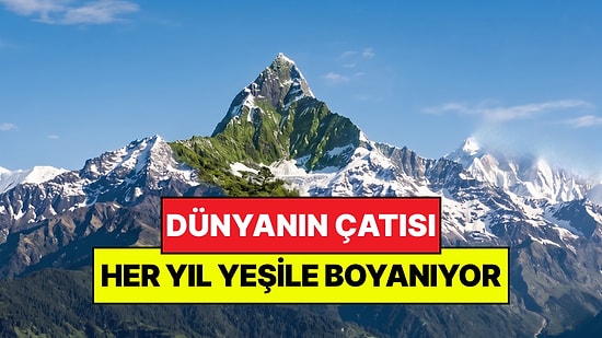 "Dünyanın Çatısı" Olarak Biliniyor: İnsanlar Yüzünden Rengi Yeşile Boyanıyor