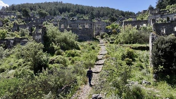 Emekli eğitimcinin doğa yürüyüşleri bilimsel bir araştırma sürecine dönüştü