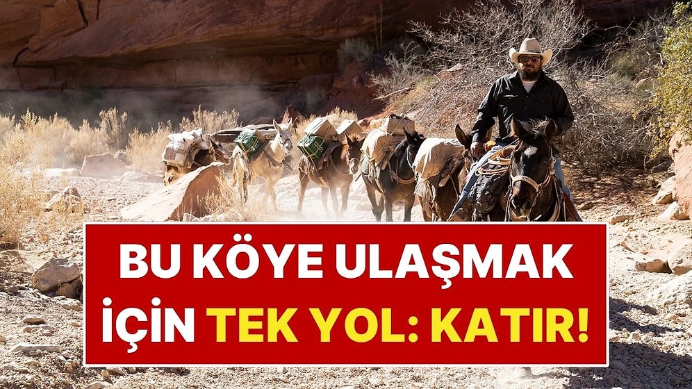 Dünyanın En Gelişmiş Ülkesi Ama Katıra Biniyorlar