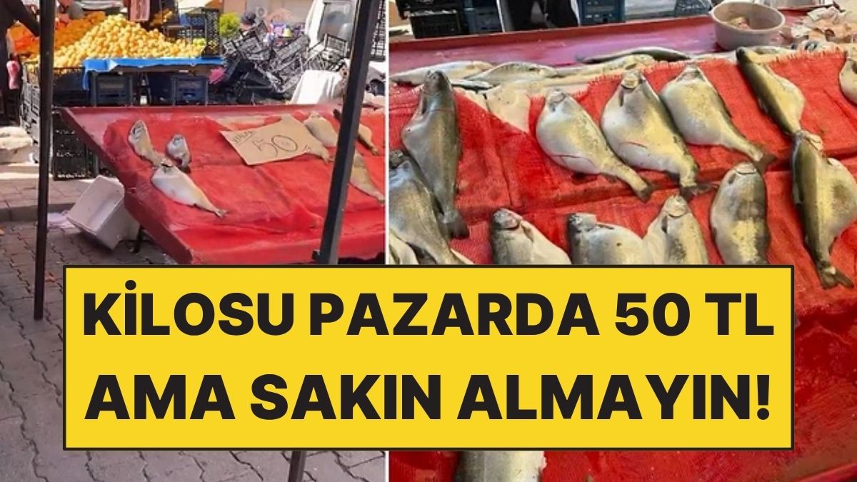 Balık: bilmeniz gerekenler