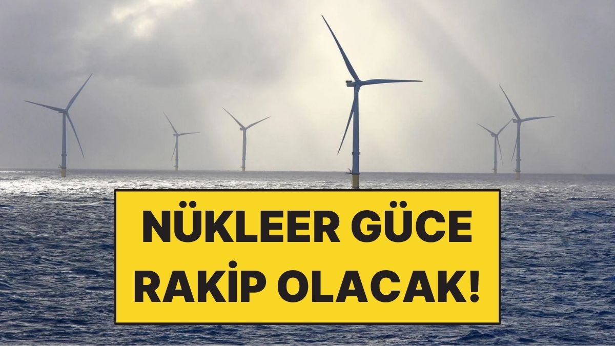Neredeyse 5 Ada Büyüklüğünde Rüzgar Santrali Kuracaklar
