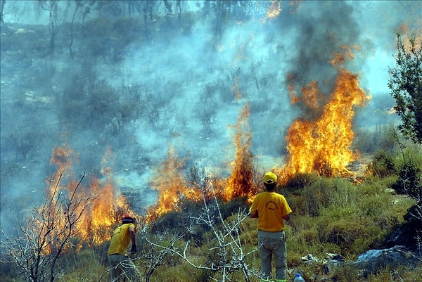 Rising temperatures will escalate both the frequency and intensity of forest fires.