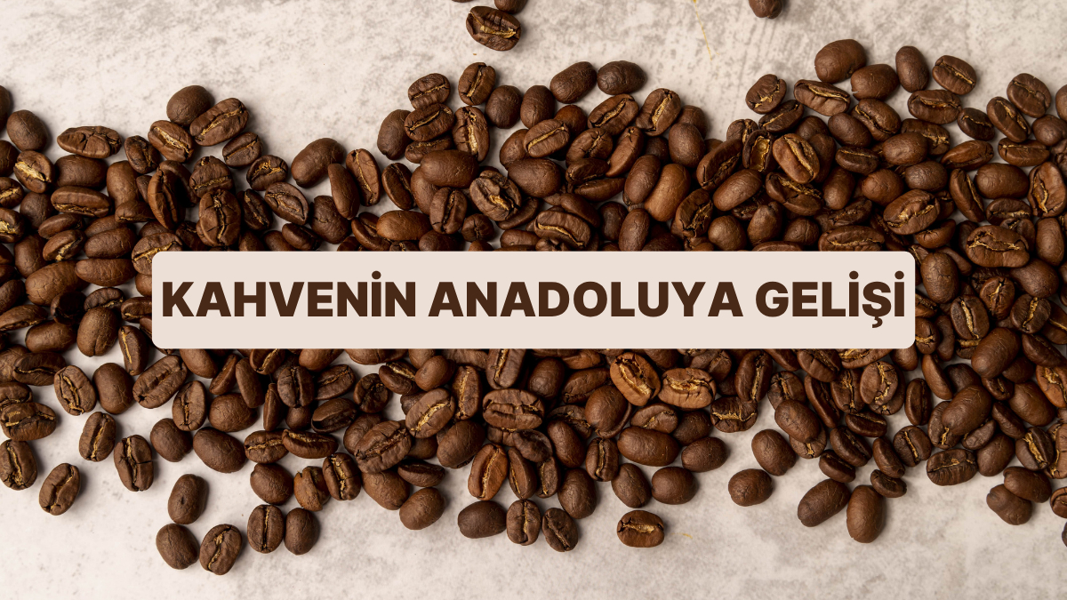 Kahvenin Anadolu'ya Gelişi Nasıl Oldu?