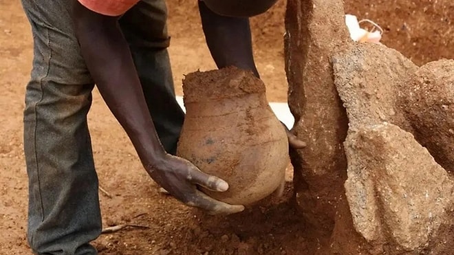 Miracle in the Pyramids: Why 3,000-Year-Old Honey Found in Ancient Jars Is Still Fresh