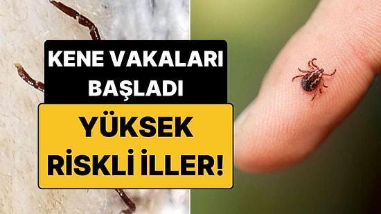 Havalar Isınınca Yeniden Hortladı: Özellikle Bazı İllerimiz Vakalara Karşı Uyarıldı!