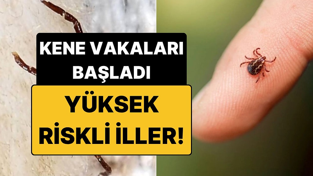 Havalar Isınınca Yeniden Hortladı: Özellikle Bazı İllerimiz Vakalara Karşı Uyarıldı!