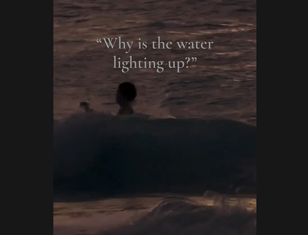 Underwater photography is considerably more challenging than one might initially think.