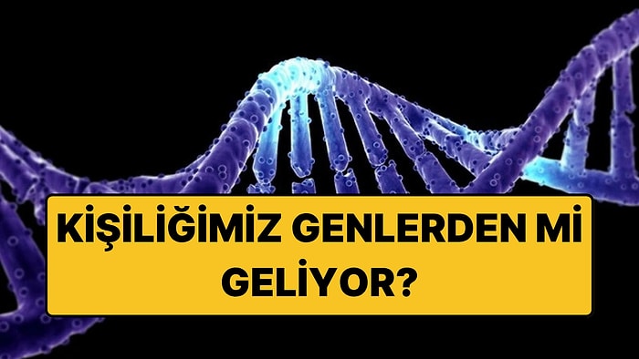 Bilim İnsanlarından Yeni Araştırma: Kişiliğimiz Aslında Genlerden mi Geliyor?