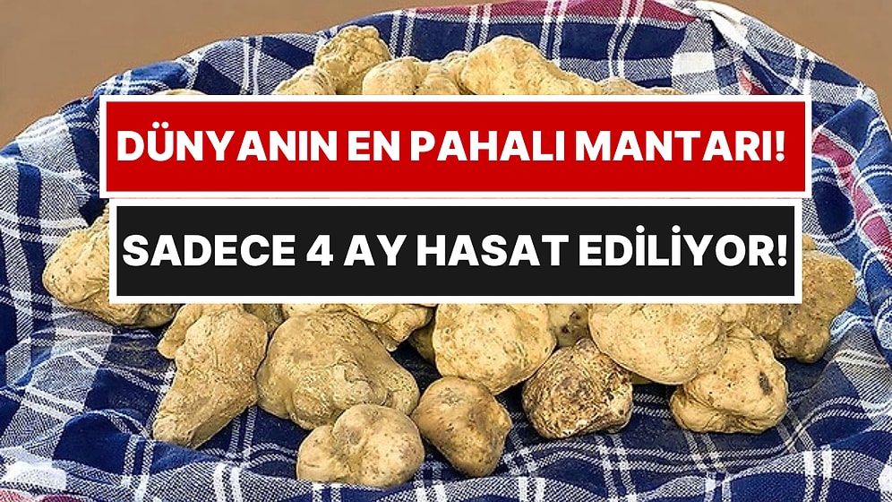 Yapay Ortamda Üretilemiyor: Dünyanın Dört Bir Yanından Milyarderler Bu Kasabaya Akın Ediyor