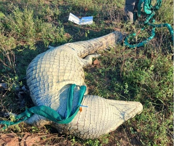 Güney Afrika’nın Mpumalanga eyaletinde geçtiğimiz hafta sel sularına kapılarak aracında kaybolan iş insanının arama çalışmaları, kan donduran bir bulguyla sonuçlandı.