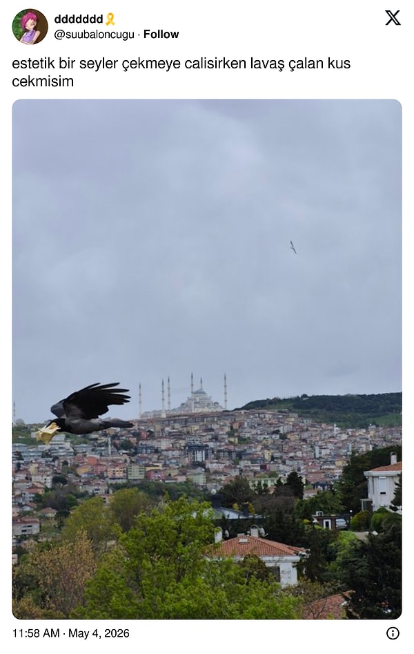 Kapatalım 👋