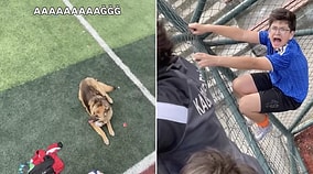 Panicked Youths Scramble as Unexpected Dog Crashes Their Football Match