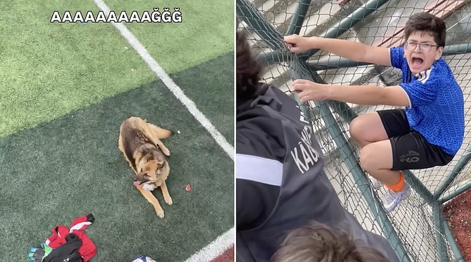 Panicked Youths Scramble as Unexpected Dog Crashes Their Football Match