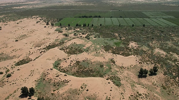 Çin’in Gobi ve Taklamakan çöllerinin istilasını durdurmak amacıyla başlattığı "Üç Kuzey Rüzgar Kırıcı Kuşağı" ya da dünyaca bilinen adıyla "Büyük Yeşil Duvar" projesi, son yılların en çarpıcı bilimsel tartışmalarından birine konu oldu.