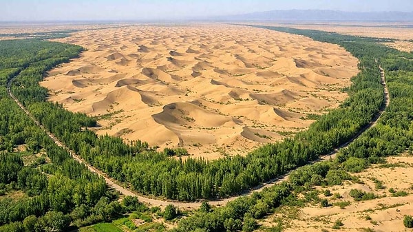 Araştırma sonuçlarına göre, ağaçlandırma çalışmaları nedeniyle oluşan yeni hava akımları, nemi Tibet Platosu’na yönlendirdi.