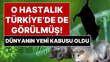 Türkiye’de de Hantavirüs Görülmüş! Dünyayı Tedirgin Eden Hantavirüs Salgını Pandemiye Dönüşür mü?