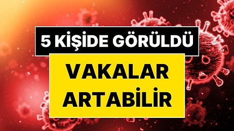 Dünya Sağlık Örgütü Hantavirüsün Son Durumunu Açıkladı