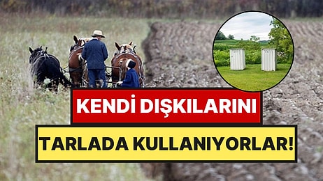 Kendi Dışkılarını Tarımda Gübre Yaptılar: Amişlerin 'Dini' Israrı Mahkemelik Oldu