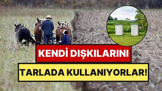 Kendi Dışkılarını Tarımda Gübre Yaptılar: Amişlerin 'Dini' Israrı Mahkemelik Oldu