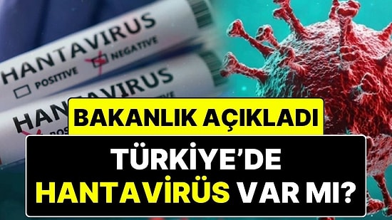 Sağlık Bakanlığı’ndan Hantavirüs Açıklaması: Türkiye’de Hantavirüs Vakası Var mı?