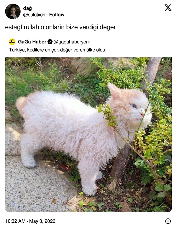 Doğru!