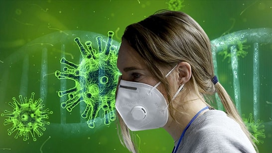 Expert Doctor Identifies Specific Groups At High Risk of Contracting Hantavirus