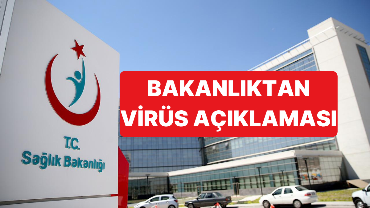 Sağlık Bakanlığı Hanta Virüsü Görülen Gemideki 3 Türkte Virüs Semptomu Bulunmadığını Açıkladı