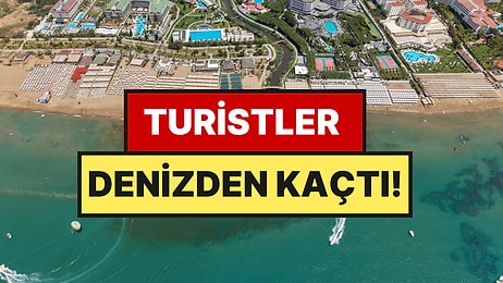 Tatilleri Zehir Oldu, Turistler Sahili Boşaltıp Şikayet Yağdırdı