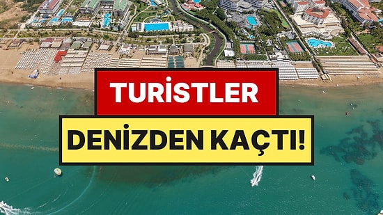 Tatilleri Zehir Oldu, Turistler Sahili Boşaltıp Şikayet Yağdırdı