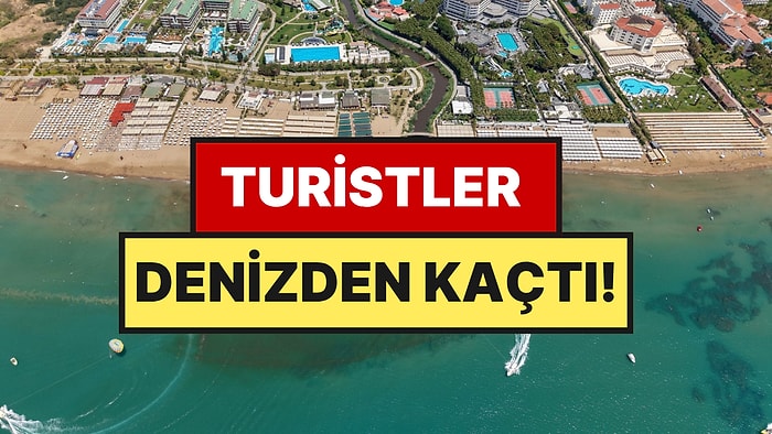 Tatilleri Zehir Oldu, Turistler Sahili Boşaltıp Şikayet Yağdırdı