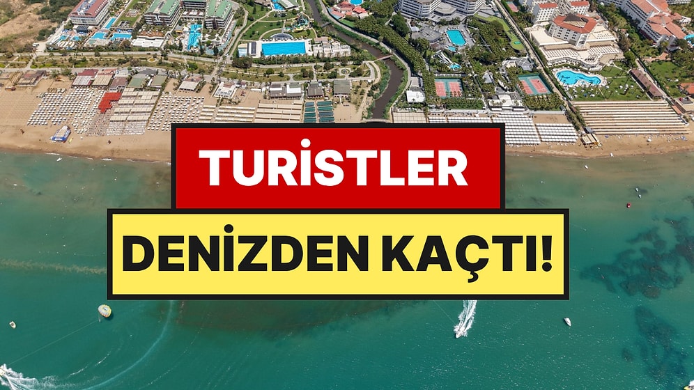Tatilleri Zehir Oldu, Turistler Sahili Boşaltıp Şikayet Yağdırdı