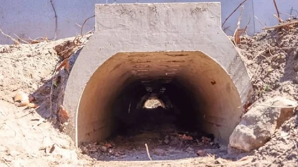 Süreci yakından takip eden çevre uzmanları, yapılan yatırımın ardından bölgedeki ekolojik tablonun tamamen değiştiğini ifade ediyor.