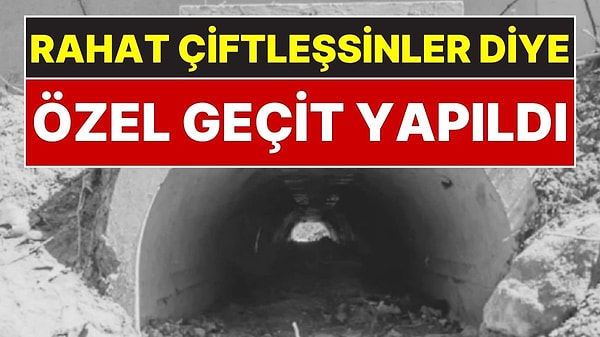 1.8 Milyon Lira Harcandı, Ölümler Neredeyse Sıfıra İndi!