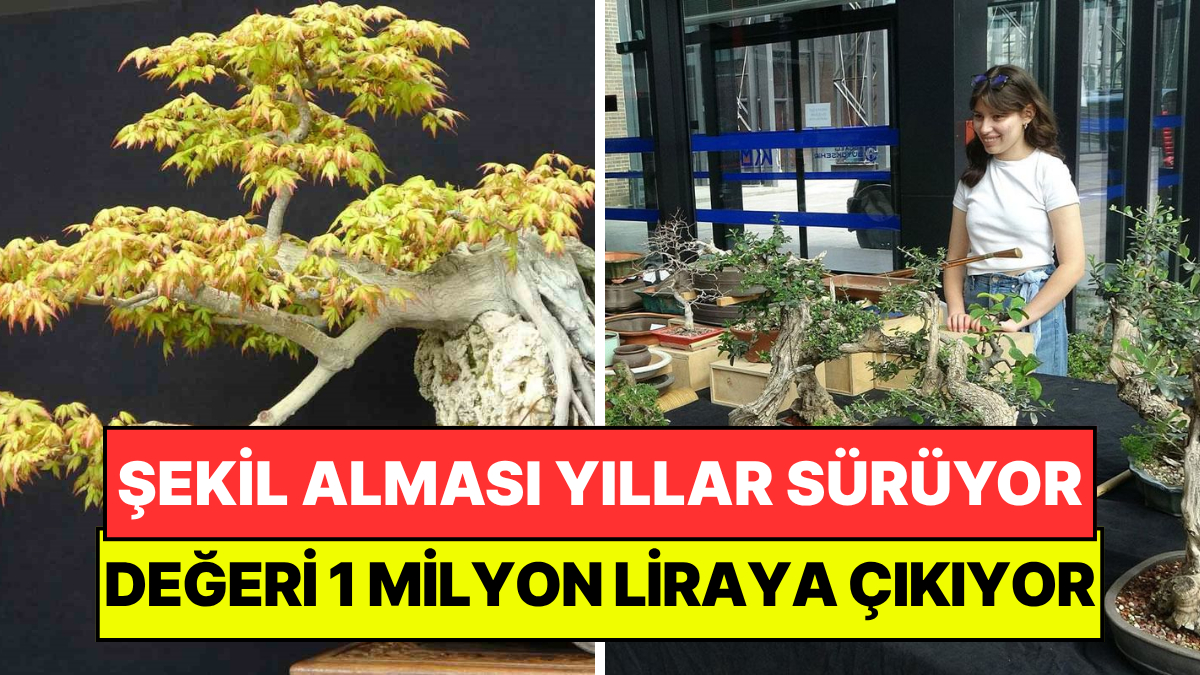 Şeklini Alması Onlarca Yıl Sürüyor: Tanesinin Değeri 1 Milyon Liraya Ulaşıyor