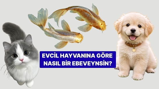 Evcil Hayvanına Göre Nasıl Bir Ebeveynsin?