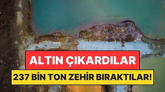 Altın Çıkardılar Geride 237 Bin Ton Zehirli Atık Bıraktılar