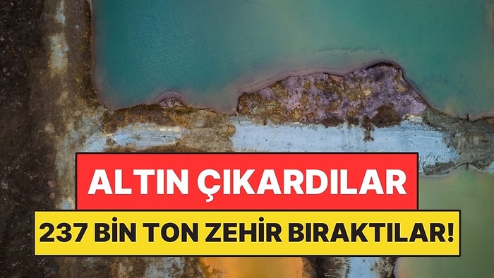 Altın Çıkardılar Geride 237 Bin Ton Zehirli Atık Bıraktılar
