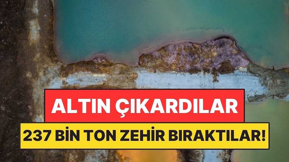 Altın Çıkardılar Geride 237 Bin Ton Zehirli Atık Bıraktılar