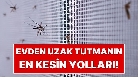Sivrisineklerden Kurtulmanın En Kolay Yolu: Bu Kokulardan Nefret Ediyorlar
