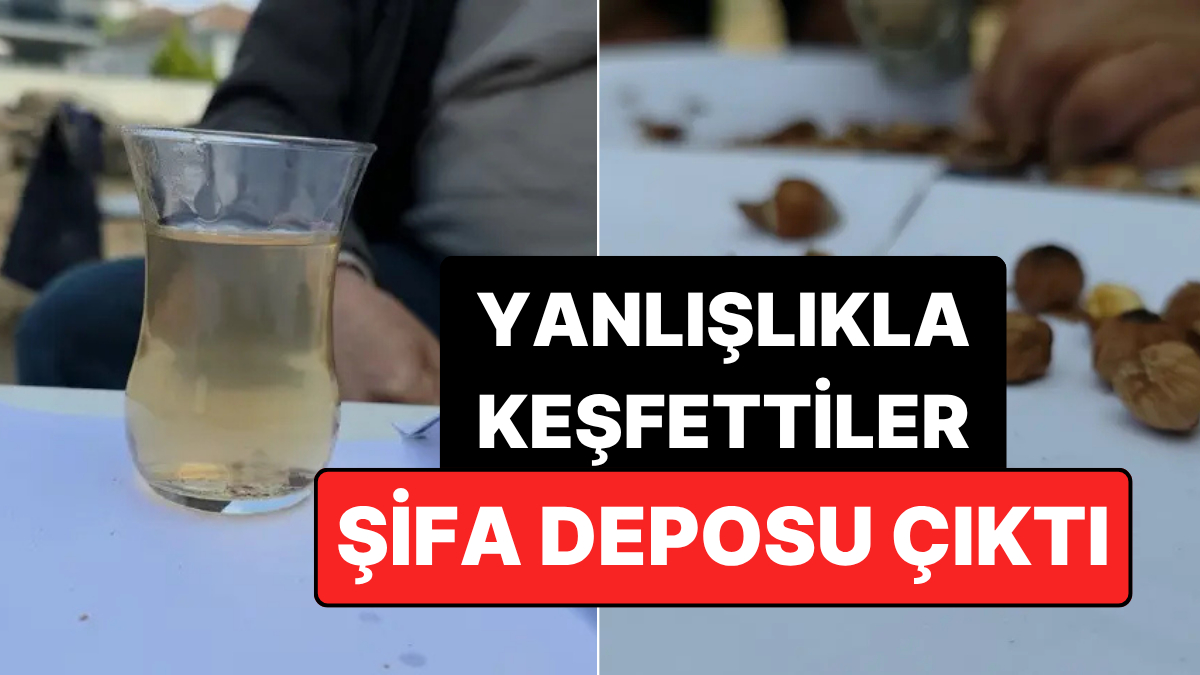 İşçilerin Molalarında Yanlışlıkla Keşfettiği Çay Şifa Deposu Çıktı!