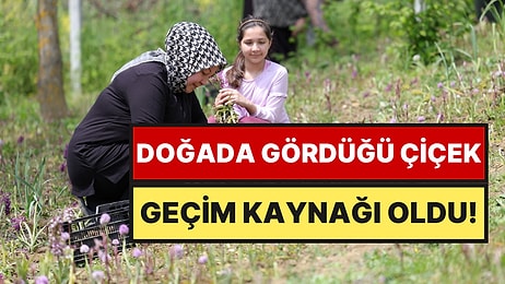 Ev Hanımıydı, Şimdi Talebe Yetişemiyor: 3 Dönümden 600 Kilo Ürün Aldı