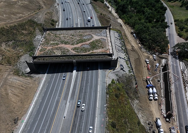 Once completed, the structure being built under the name of Wallis Annenberg Wildlife Crossing will claim the title of being the world's largest ecological bridge.