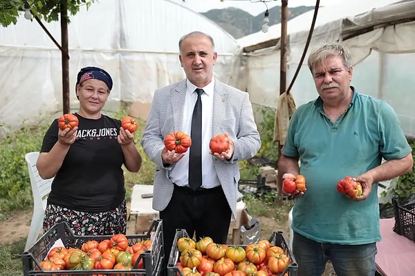Yüksek maliyetli ve kaliteli üretim süreci pazar fiyatlarına yansıyor.