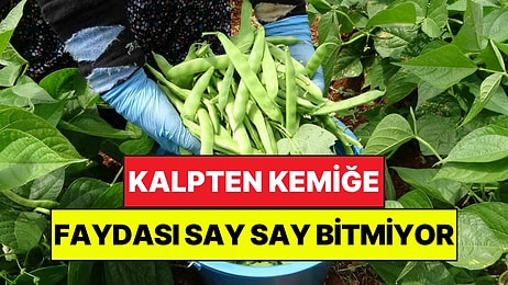Sıcak Havaların "Kalp Dostu" Tezgaha İndi: Kilosu 100 Liraya Satılıyor