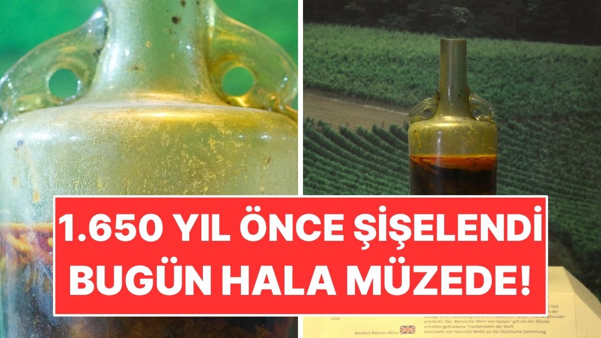1.650 Yıllık Şarap Şişesini Açmaya Kimse Cesaret Edemiyor