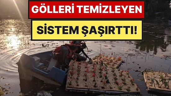 Strafor ve Bambuyla Yapılan Bu Yüzen Adaların Altında Dev Arıtma Sistemi Çalışıyor