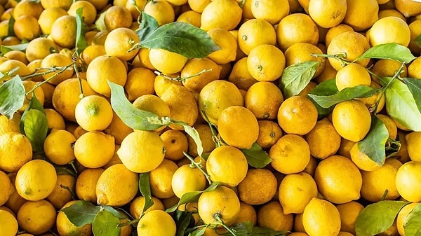 Squirt Lemon at Your Door to Banis Bug Invaders!